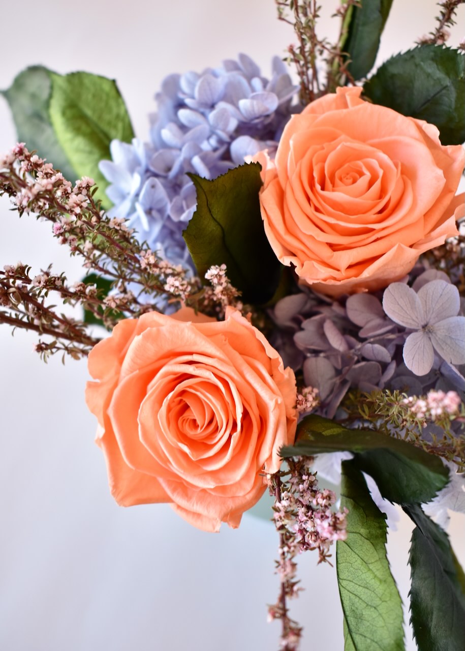 Pretty peach roses with cornflower blue hydrangea.