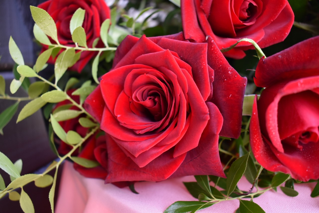 Valentine's Day 2020!