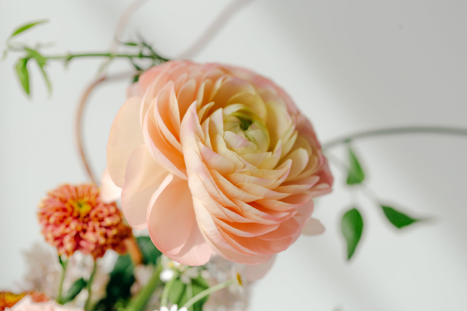 Seasonal Flower Availability